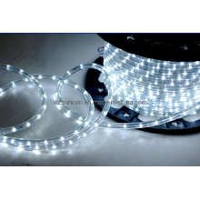 LED Rope Light (SRSL-2W)